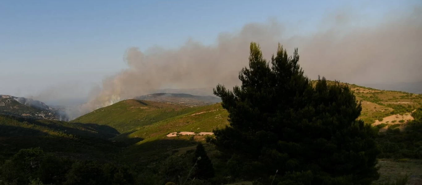Εύβοια: Απο εμπρησμό η φωτιά - Συνελήφθη 64χρονος
